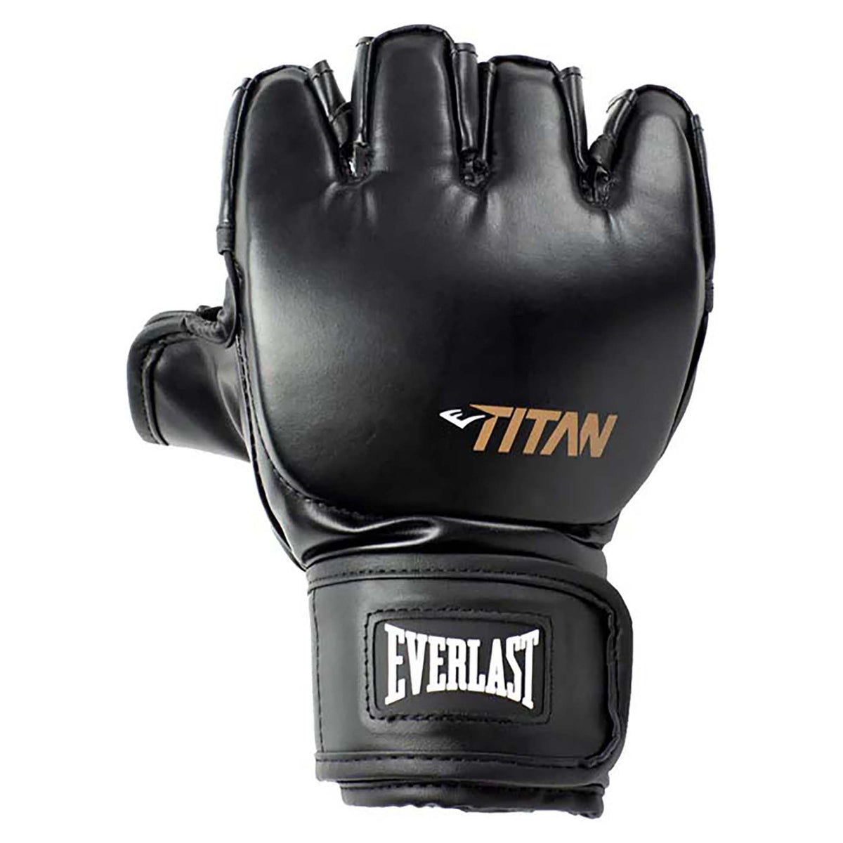 Titan MMA Gloves