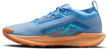 Pegasus Trail 5 GORE-TEX Men's Trail Running Shoes