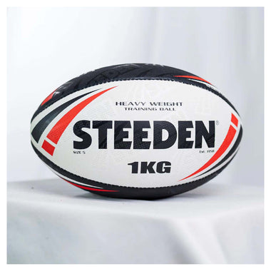 Titan Heavy Weight Trainer Ball