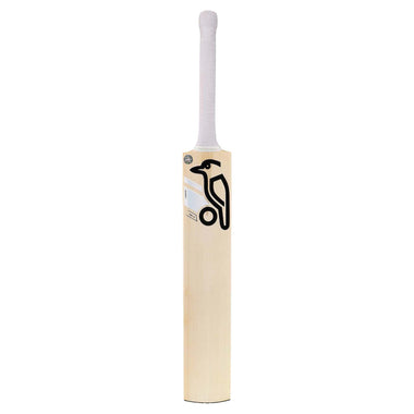 Ghost Pro 1.0 Cricket Bat