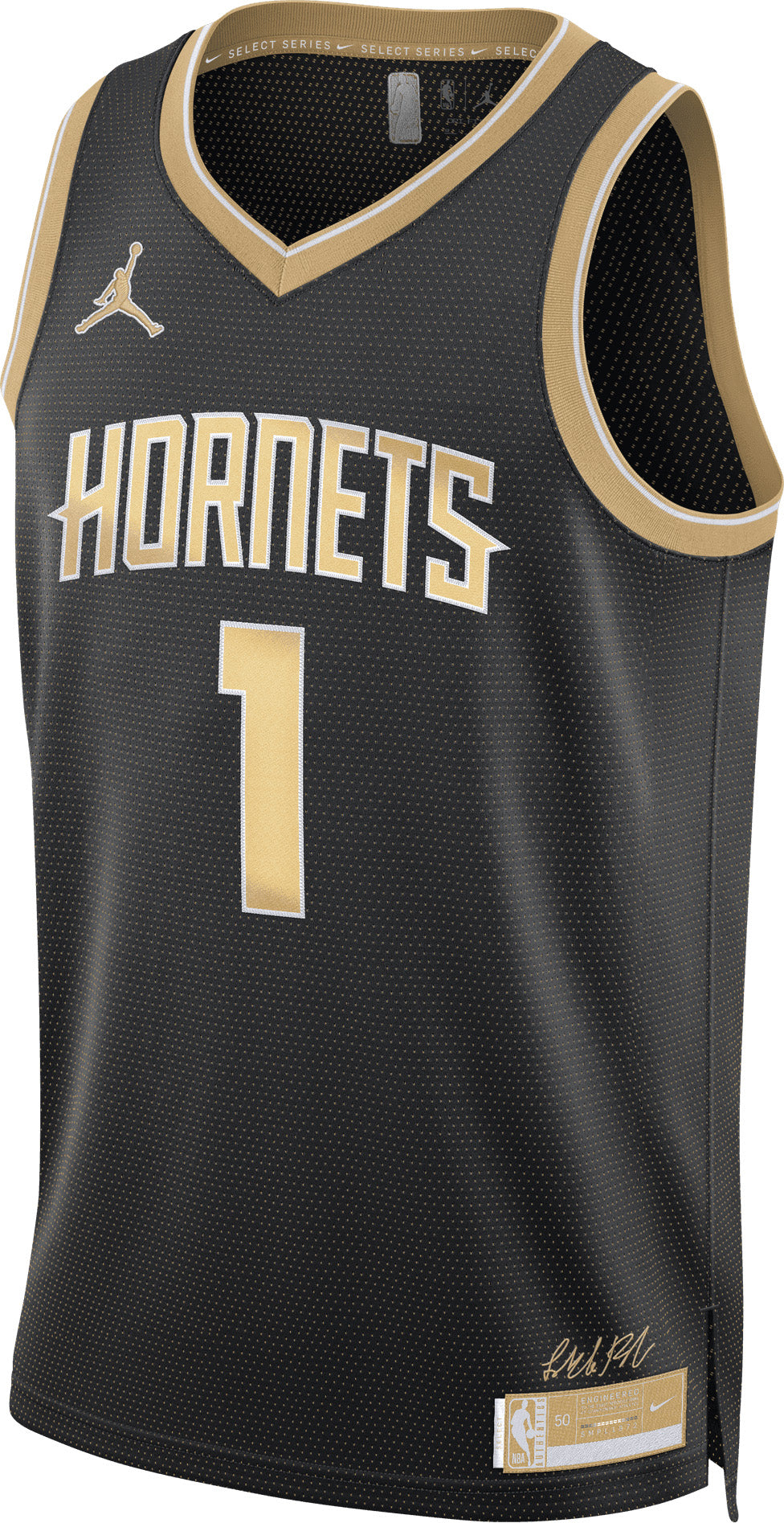 Nike LaMelo Ball Charlotte Hornets 2024 Select Series Jordan Dri