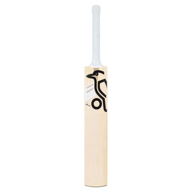 Ghost Pro 1.0 Cricket Bat