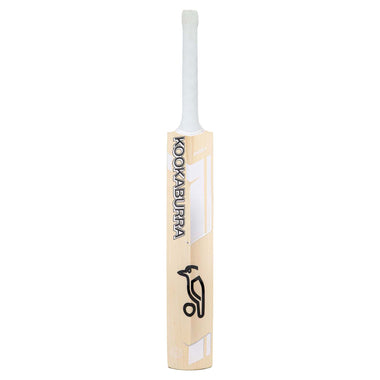 Ghost Pro 4.0 Junior Cricket Bat