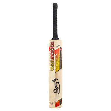 Diablo Pro 3.0 Cricket Bat