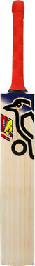 Beast Pro 9.0 Kashmir Junior Cricket Bat