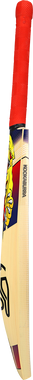 Beast Pro 9.0 Kashmir Junior Cricket Bat