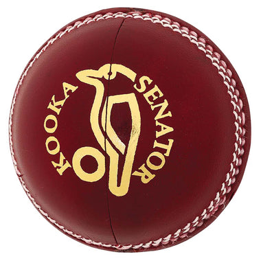 Senator Cricket Ball (142g)