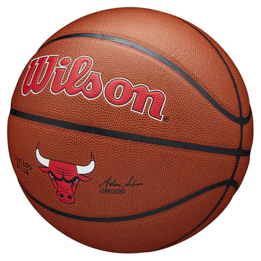 NBA Chicago Bulls Team Composite Basketball