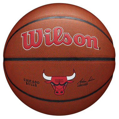 NBA Chicago Bulls Team Composite Basketball