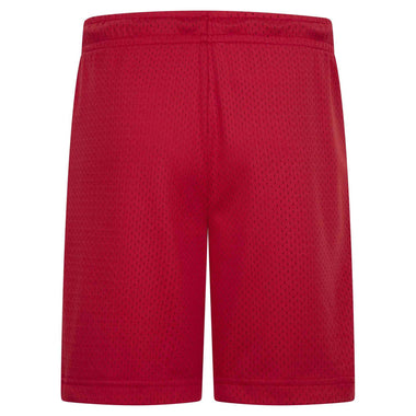 Boy's Mesh PE Shorts