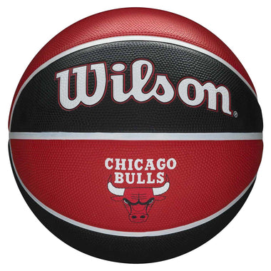 NBA Chicago Bulls Team Tribute Basketball