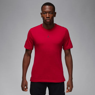 Jordan Men's Sport Short Sleeve Top