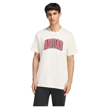 Men's Stadium Collegiate Graphic T-Shirt