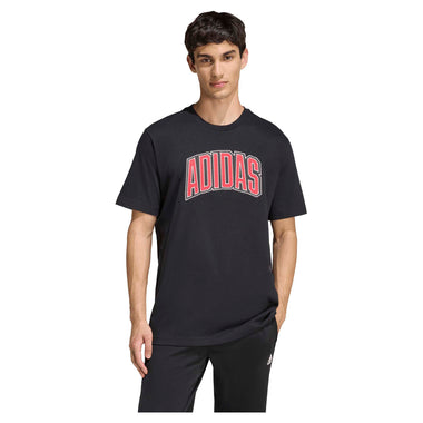 Men's Stadium Collegiate Graphic T-Shirt