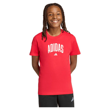 Junior's Collegiate Graphic T-Shirt