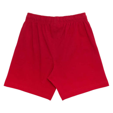 Junior's Script Puff Print Shorts