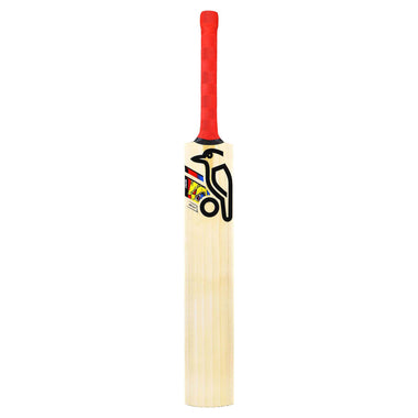 Beast Pro 9.0 Junior's Cricket Bat