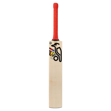 Beast Pro 4.0 Cricket Bat