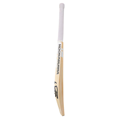 Ghost Pro 1.0 Cricket Bat