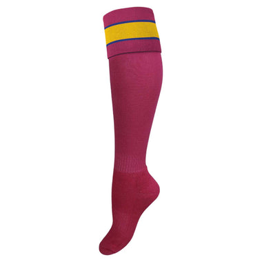 Junior's AFL Brisbane Lions Football Club Elite Socks