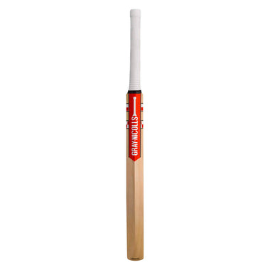Technique 55 Training Cricket Bat