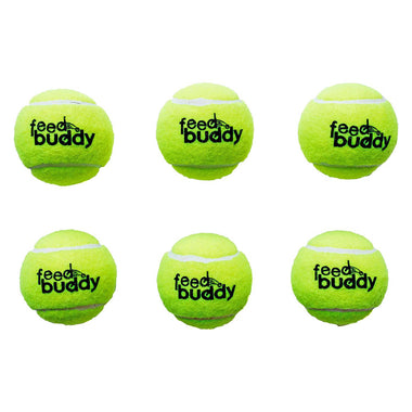 Tennis Balls (6 Pack)