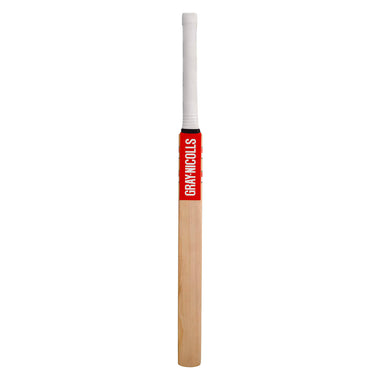 Technique 55 Training Cricket Bat