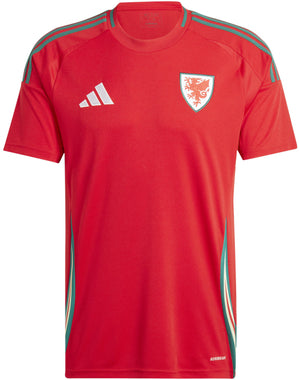 Men's Wales 2024 Home Soccer Jersey