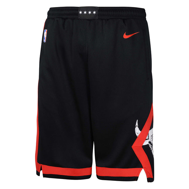 Charlotte Hornets 2023/24 City Edition Men's Jordan Dri-FIT NBA Swingman  Shorts